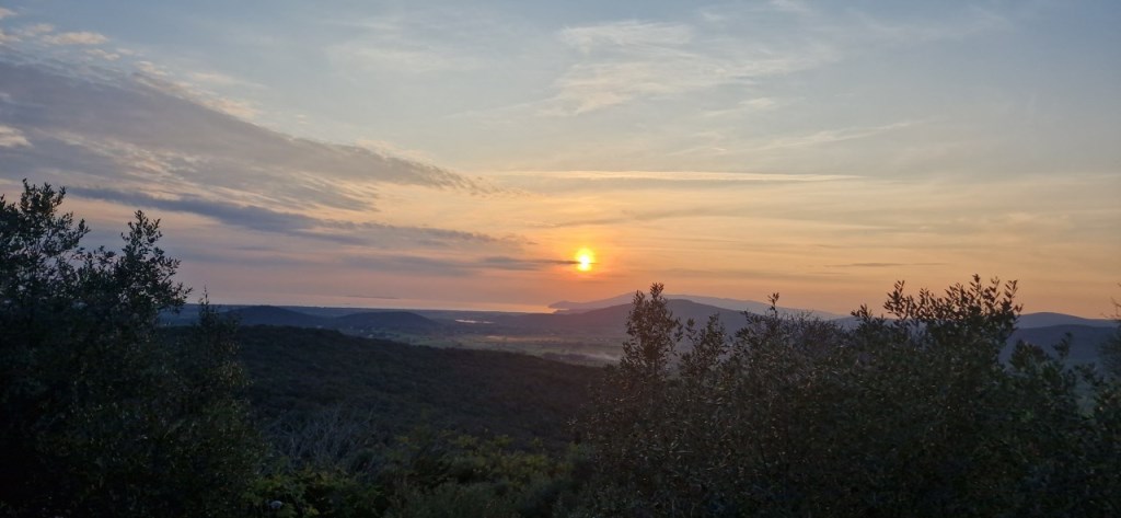 appartamento in vendita a Capalbio