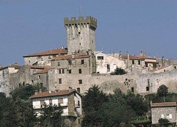 appartamento in vendita a Capalbio