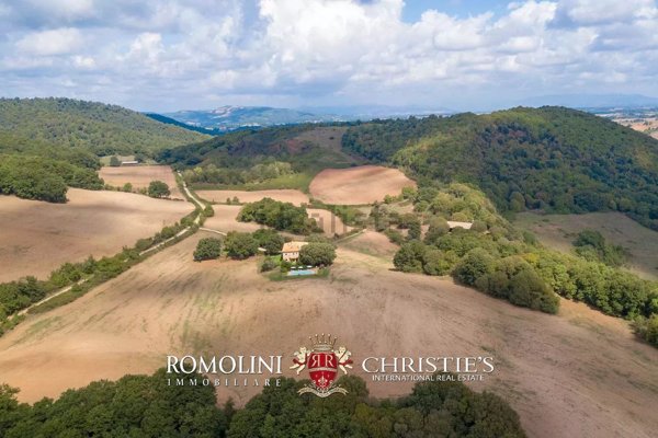 appartamento in vendita a Capalbio