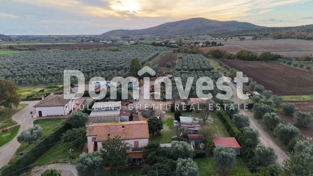 casa indipendente in vendita a Capalbio