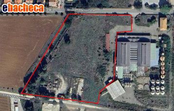 terreno agricolo in vendita a Capalbio in zona Borgo Carige