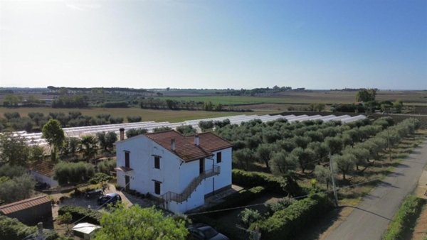casa indipendente in vendita a Capalbio