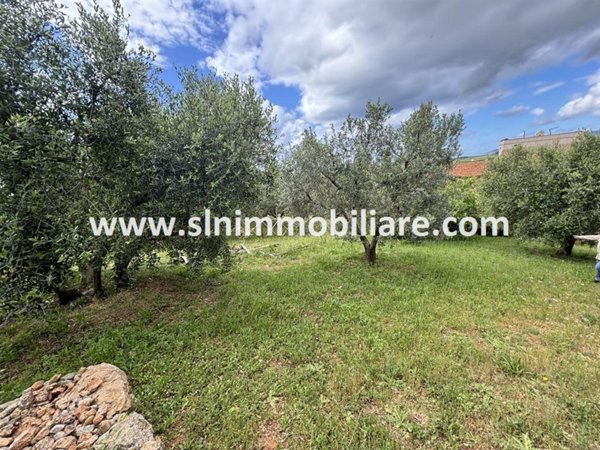 appartamento in vendita a Capalbio