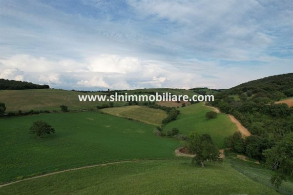 terreno agricolo in vendita a Capalbio