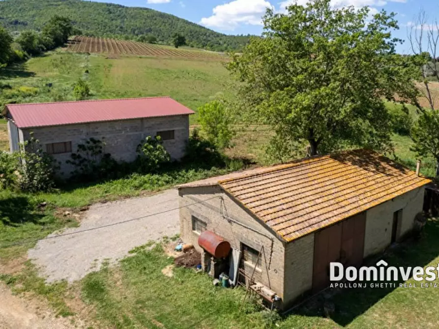 casa indipendente in vendita a Capalbio