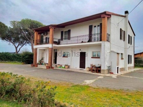 esavano in vendita a Capalbio