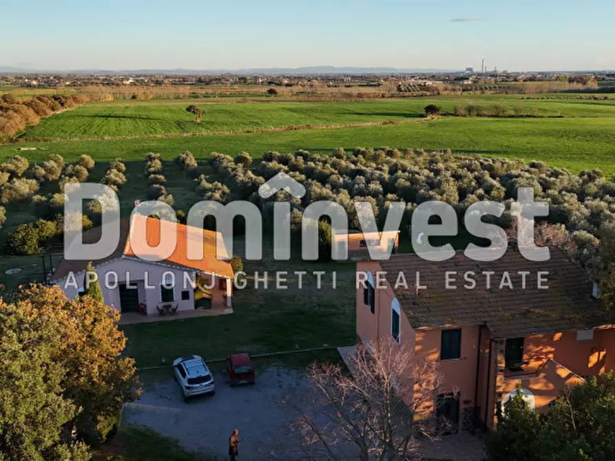 casa indipendente in vendita a Capalbio in zona Pescia Fiorentina