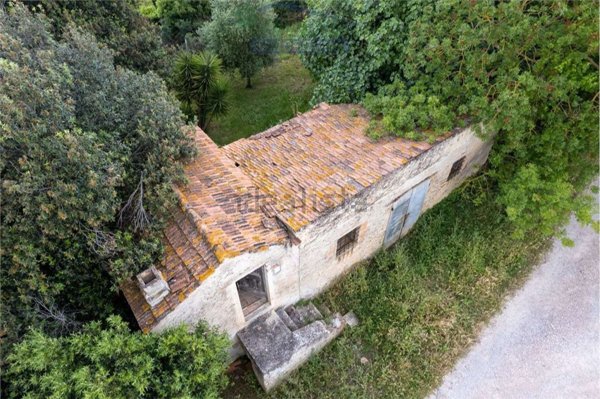 pentavano in vendita a Capalbio