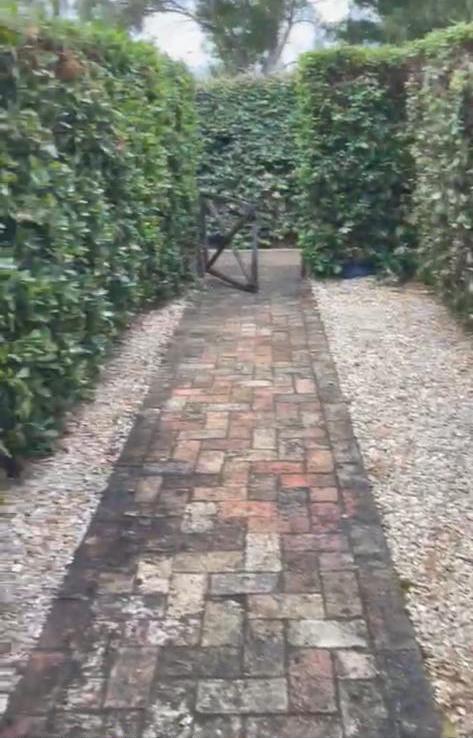 quadrivano in vendita a Capalbio in zona Selva Nera