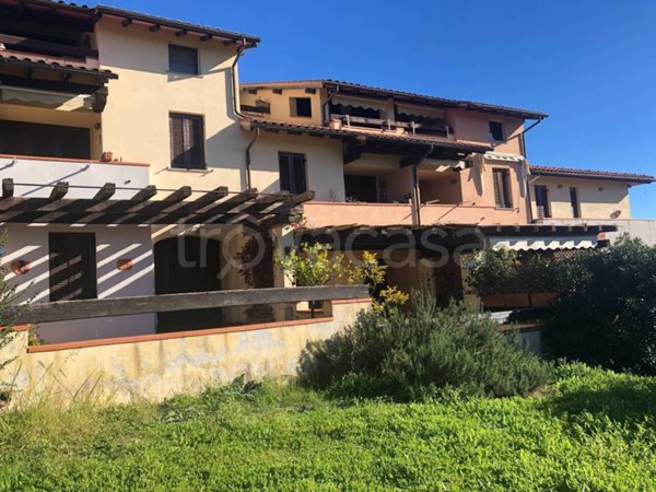 appartamento in vendita a Capalbio