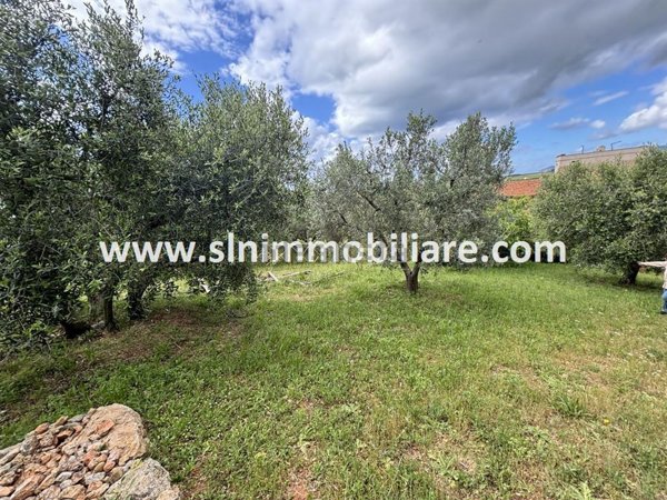 appartamento in vendita a Capalbio