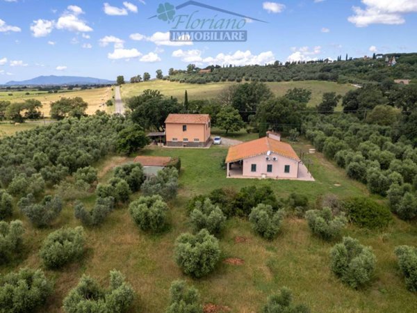 casa indipendente in vendita a Capalbio in zona Pescia Fiorentina
