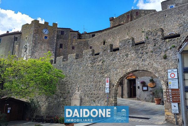appartamento in vendita a Capalbio