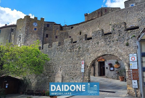 appartamento in vendita a Capalbio