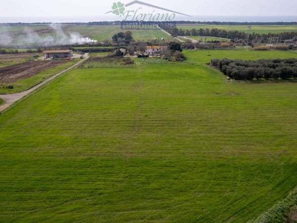 terreno agricolo in vendita a Capalbio