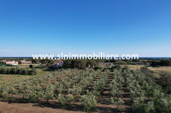 terreno agricolo in vendita a Capalbio