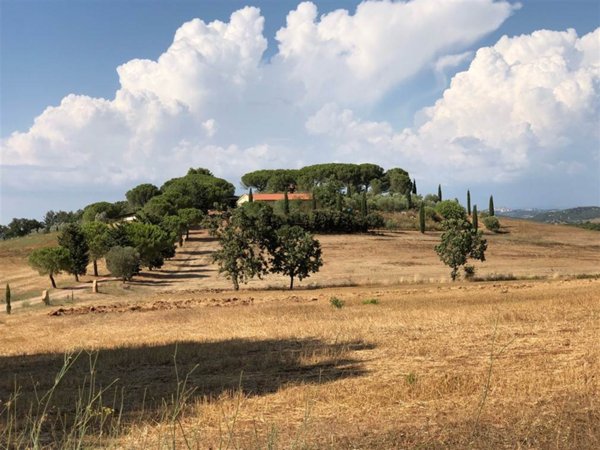 casa indipendente in vendita a Capalbio