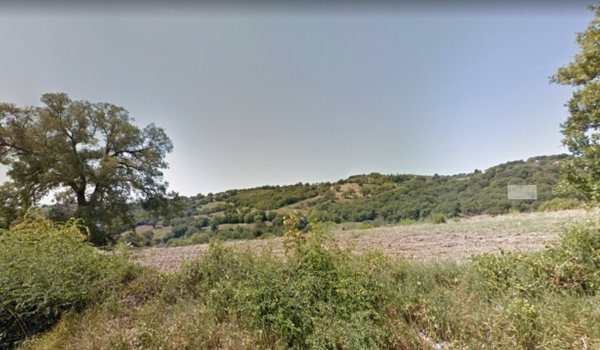 azienda agricola in vendita a Capalbio