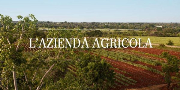 azienda agricola in vendita a Capalbio