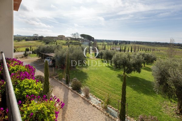 azienda agricola in vendita a Capalbio