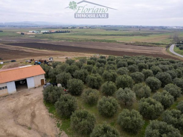 casa indipendente in vendita a Capalbio