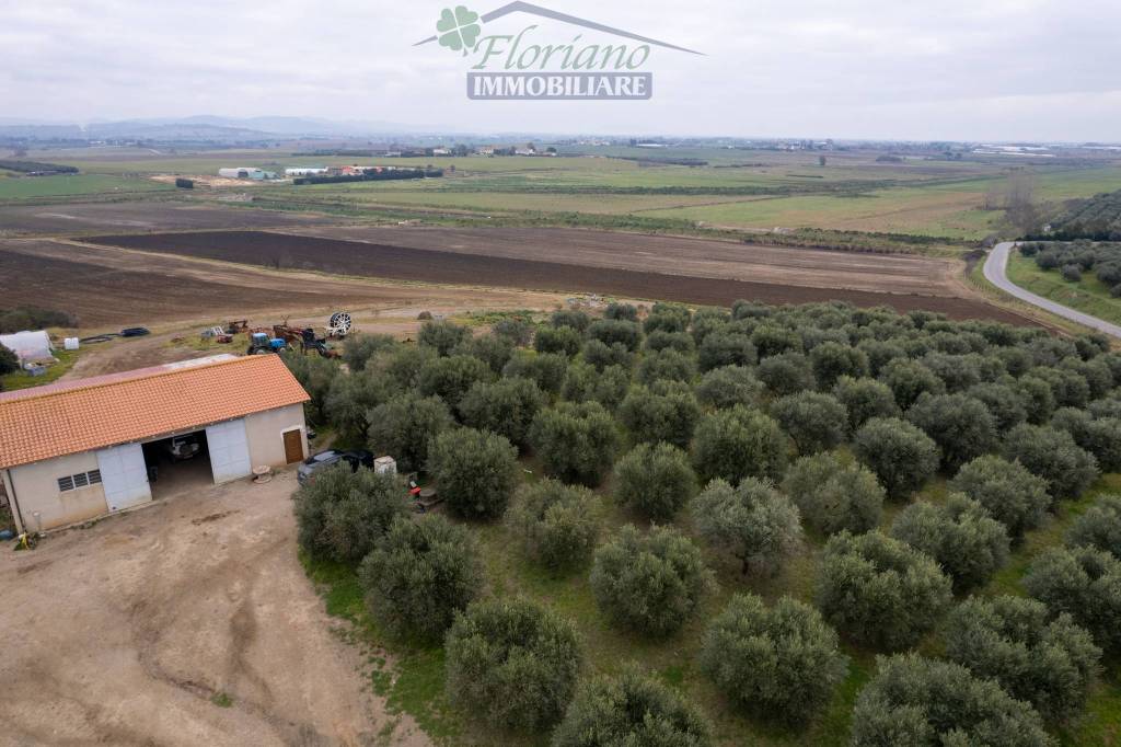 casa indipendente in vendita a Capalbio