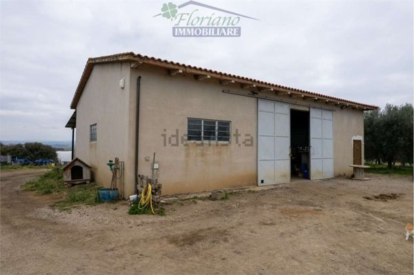 casale in vendita a Capalbio