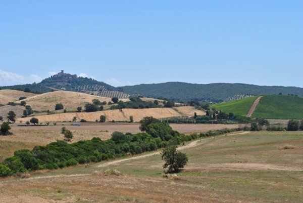 casa indipendente in vendita a Capalbio