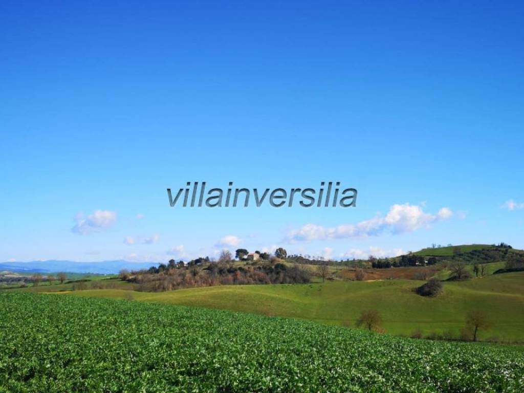 appartamento in vendita a Capalbio