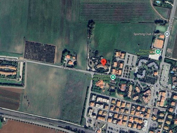 appartamento in vendita a Capalbio