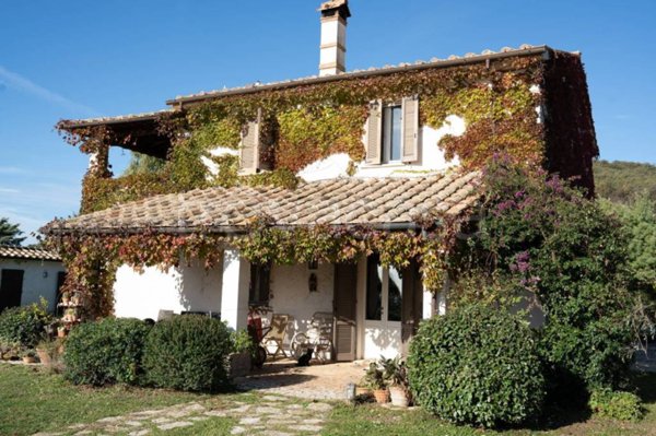 azienda agricola in vendita a Capalbio