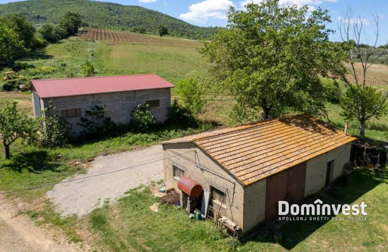 casale in vendita a Capalbio