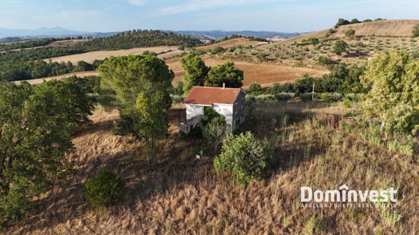 casale in vendita a Capalbio