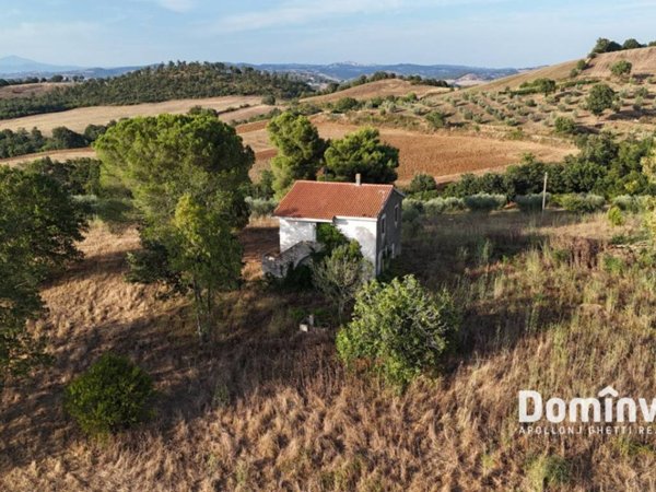 casale in vendita a Capalbio