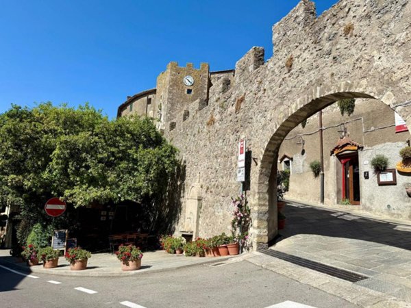 appartamento in vendita a Capalbio