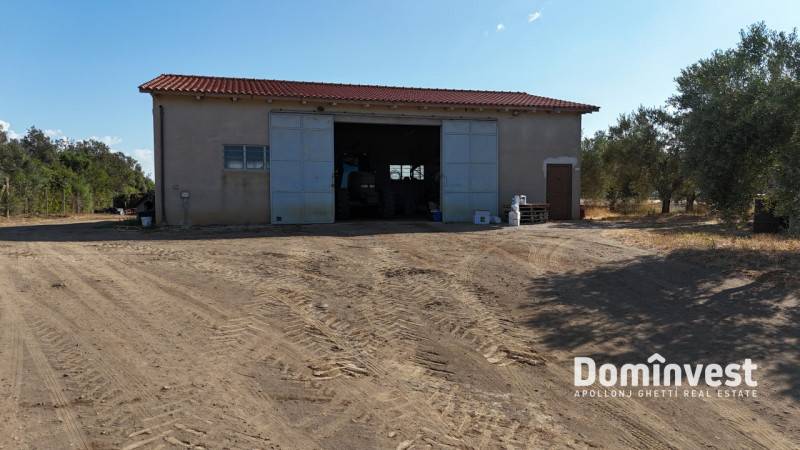 appartamento in vendita a Capalbio in zona Selva Nera