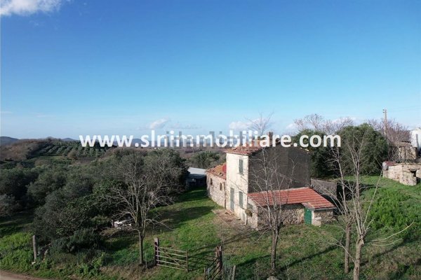 appartamento in vendita a Capalbio