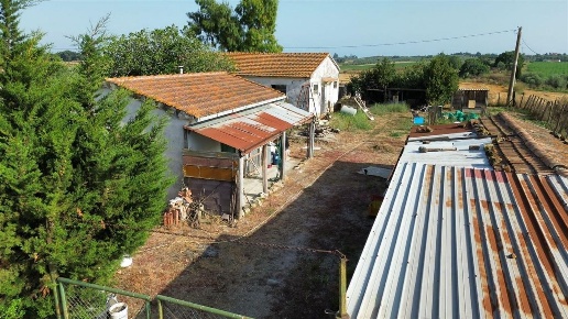 casale in vendita a Capalbio