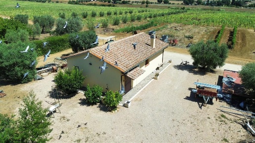 casale in vendita a Capalbio