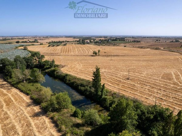 terreno agricolo in vendita a Capalbio in zona Pescia Fiorentina