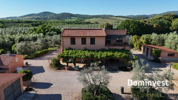 casa indipendente in vendita a Capalbio in zona Pescia Fiorentina