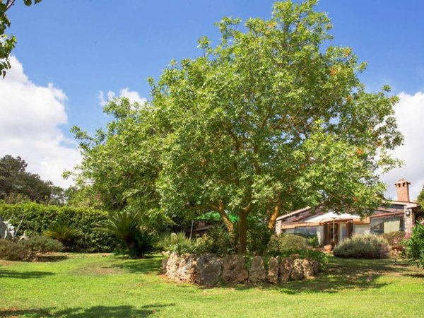 casa indipendente in vendita a Capalbio