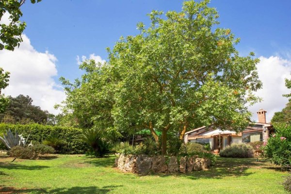 casa indipendente in vendita a Capalbio