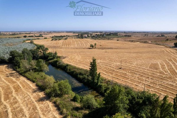 terreno agricolo in vendita a Capalbio in zona Pescia Fiorentina
