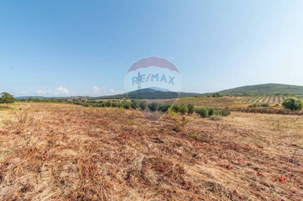 terreno agricolo in vendita a Capalbio