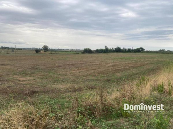 terreno agricolo in vendita a Capalbio in zona Borgo Carige