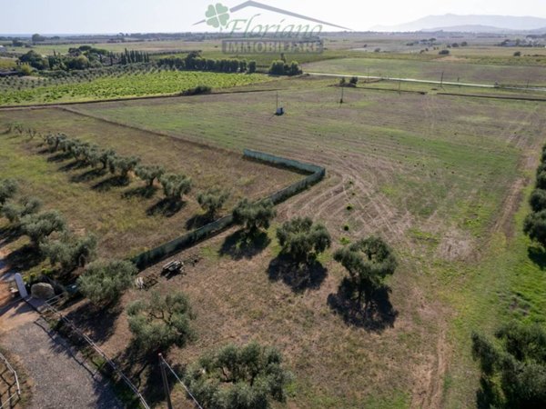 terreno agricolo in vendita a Capalbio