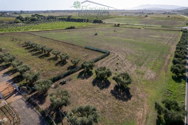 terreno agricolo in vendita a Capalbio