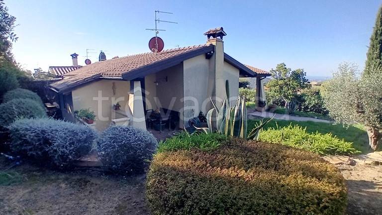 appartamento in vendita a Capalbio