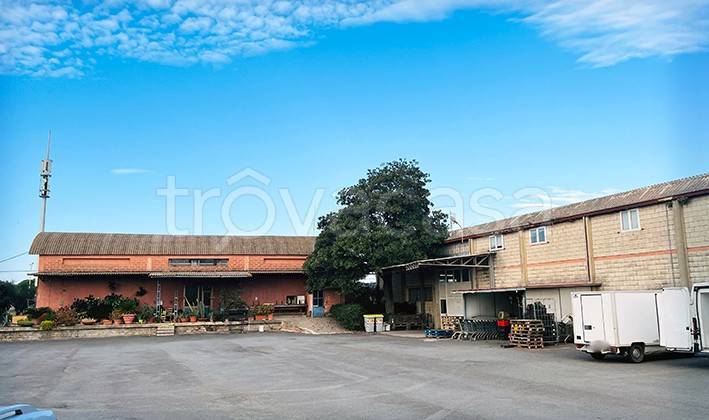 locale commerciale in vendita a Capalbio